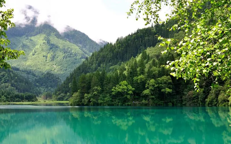 高标准节能